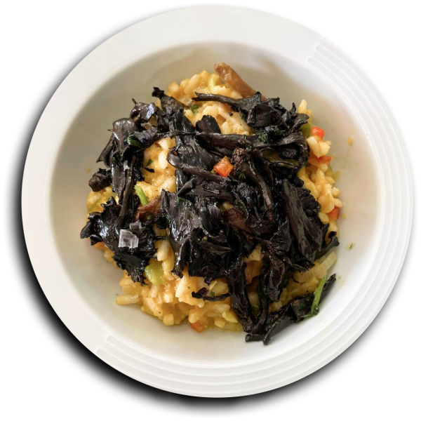 Le restaurant - Le Gromm - Talence - top restaurant TALENCE